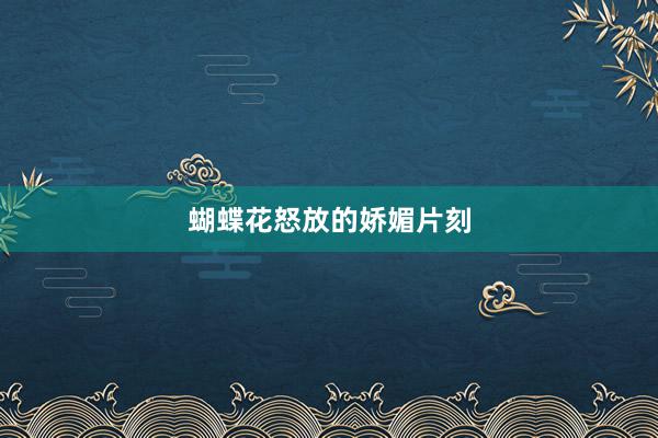 蝴蝶花怒放的娇媚片刻