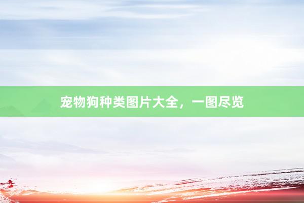 宠物狗种类图片大全,一图尽览
