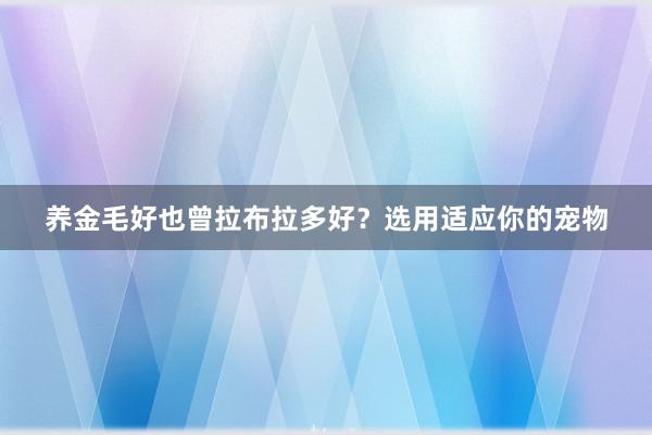 养金毛好也曾拉布拉多好?选用适应你的宠物